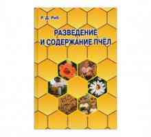 Ghidul începătorilor pentru apicultori și bazele apiculturii