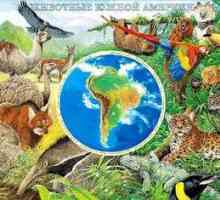 Lumea animalelor și a legumelor din America de Sud