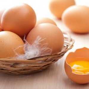Perioada de valabilitate a ouălor de pui și depozitarea lor în frigider